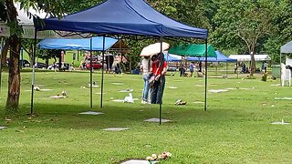 Radyo Bandera Newsline