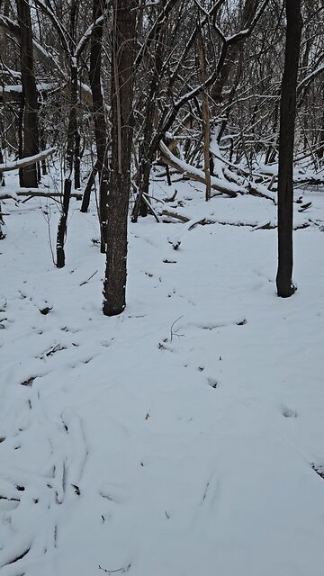 My Church in the Snow