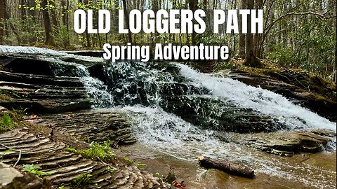 Old Loggers Path Adventure | Hammock Camping, Vistas & Spring Streams