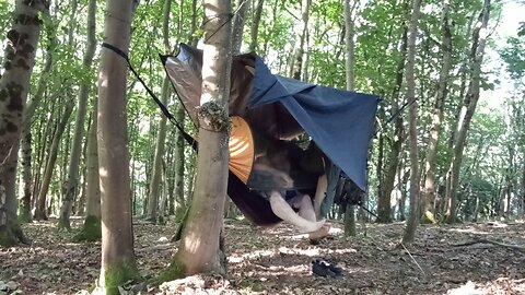 morning , breaking , #camp ,#England , ,#woods,