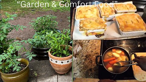 Planting My Winter Garden + Cooking a Chicken Pot Pie from Scratch