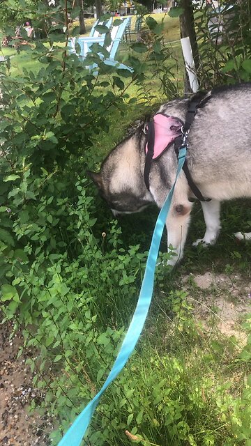 Saturday August 16, I did not come to abolish the law of Moses