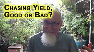 Is It Good To Chase Yield, Chasing Dividend Stocks With Good Yields