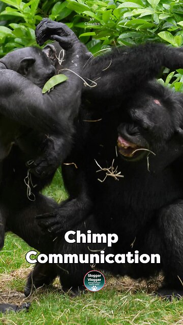 Just the troop letting off some steam! 😤💨