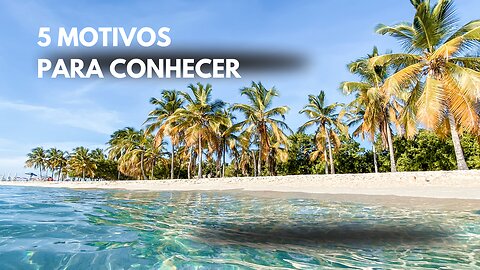 Praias litoranea e coqueiros
