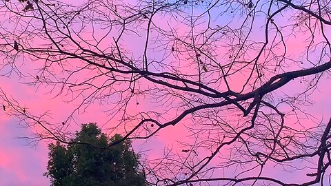 Evening Sky 09.14.2025