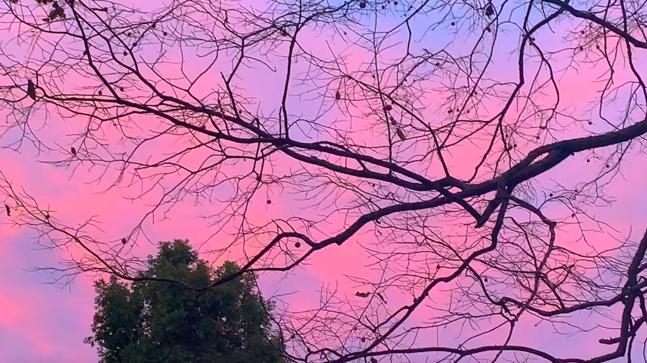 Evening Sky 09.14.2025