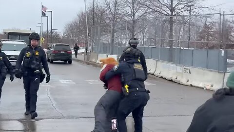 Watch Dancing Fox Demonstrator Get Taken Down by ICE