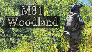 M81 Woodland Camouflage Effectiveness