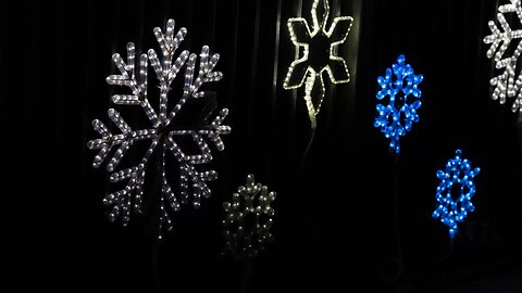 Christmas lights at the Florida Botanical Gardens November 28 2025