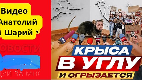 шарий #шарій #анатолійшарій