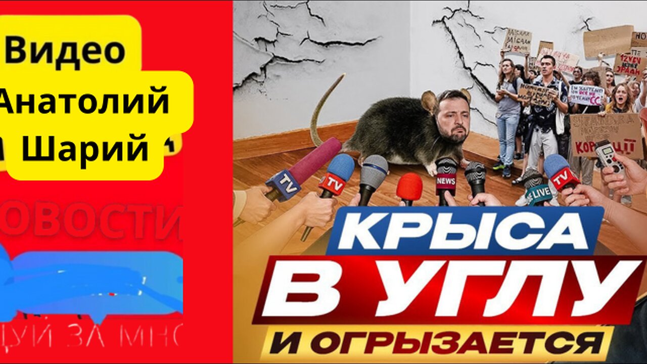 шарий #шарій #анатолійшарій