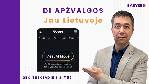 Kas yra DI apžvalgos (AI Overview) → SEO Trečiadienis #58