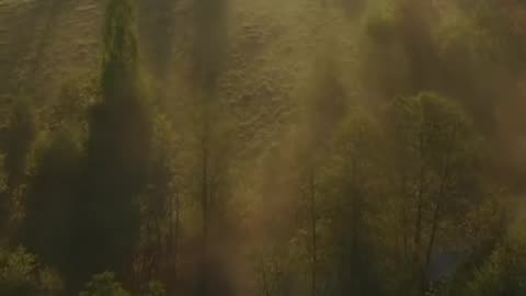 🙏❤️ Monday's Prayer for Strength | Rise Above Challenges, Trust in God | InGodWeTrustDaily