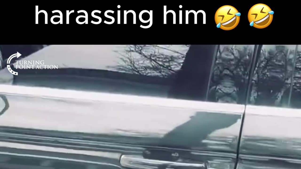 Absolutely fried 😂