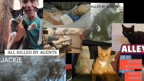 Death Threats, Remote Controlled Events & Criminals & FAMILY- Interviews- Mistakes of Agents