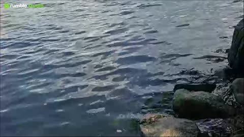 camping test stream