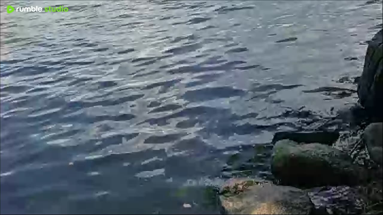camping test stream