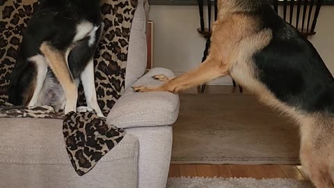 Fights over when the family comes home!