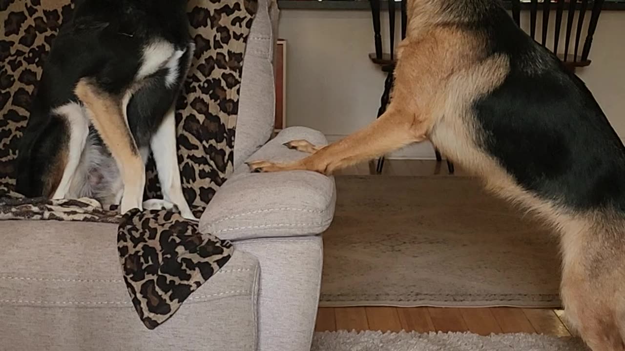 Fights over when the family comes home!