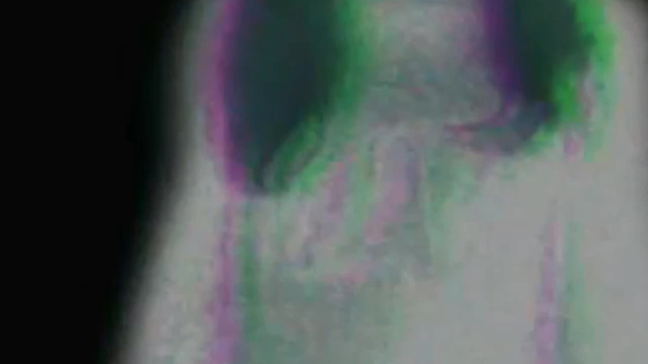 SELFMADE "soquasi" Halloween Short