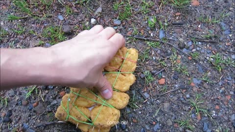 IPHONE 6 CHICKEN McNUGGETS CASE - Drop Test 100ft