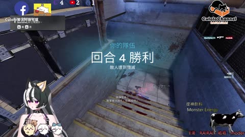 🌱vs🧟‍♀️ New version⭐新手向⭐🥺倉鼠系玩家🥺| 來聊天R ✨💎(๑˃̵ᴗ˂̵)و Culolo Channel(๑˃̵ᴗ˂̵)و 5 Taiwan優質台💎✨