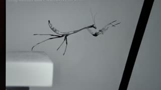 🚀💨 Off He Goes! | FunFM