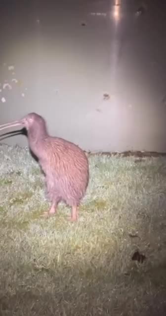 When you are spotted as you try to escape