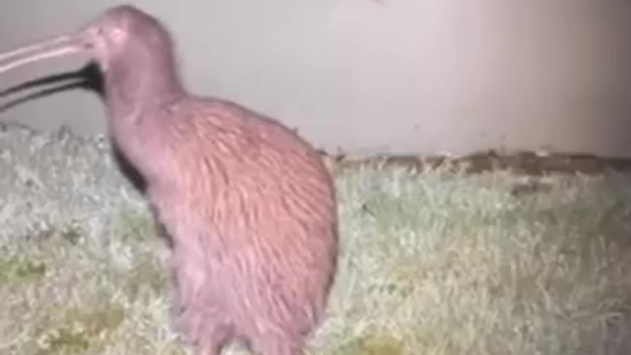 When you are spotted as you try to escape