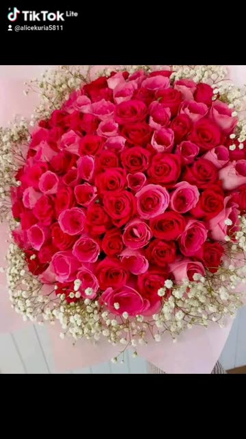 Happy Valentine's day