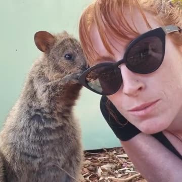 Welcome to Australia 🇦🇺