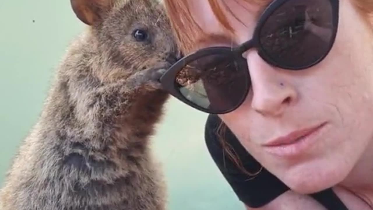 Welcome to Australia 🇦🇺