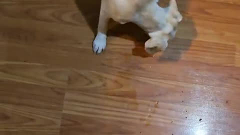 Are you pooping too much