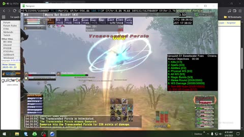 Playing Final Fantasy XI Online