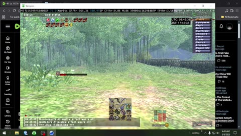 Playing Final Fantasy XI Online
