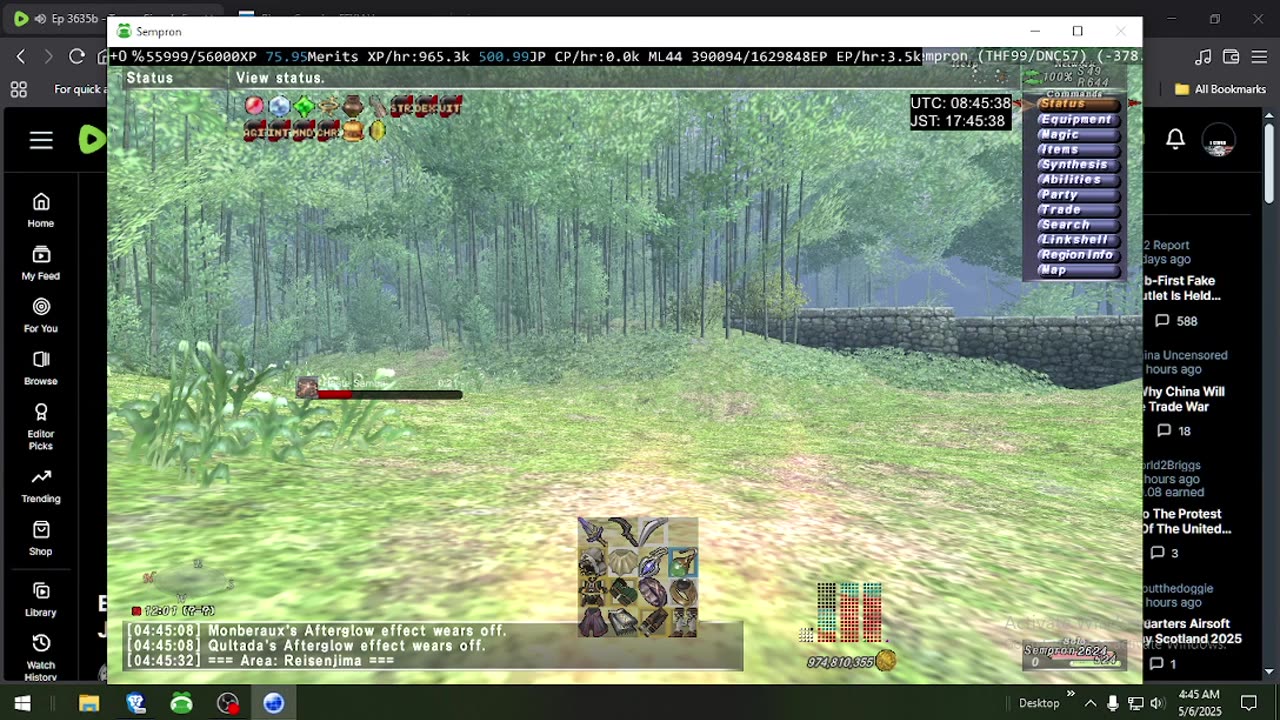 Playing Final Fantasy XI Online