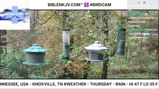 BIBLENKJV.COM™ 🛐 10/30/2025 #LIVE #BIRDCAM #WEATHER