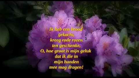 Hoe groot