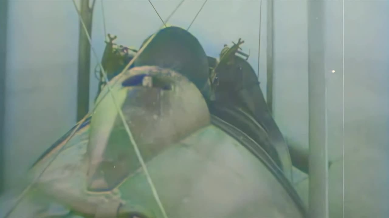 94th Aero Squadron (France) – Dogfights Over the Front, 1918