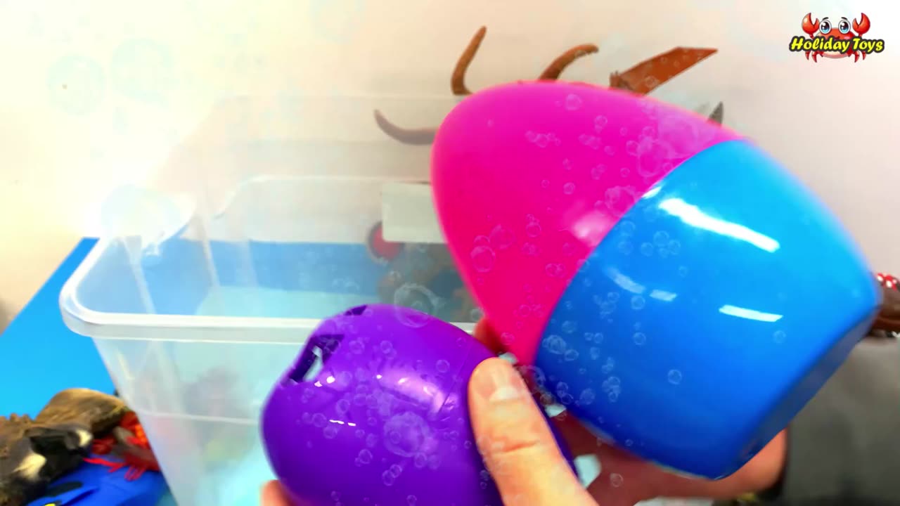 Cute Green Crocodile Fights for Meat with White Shark