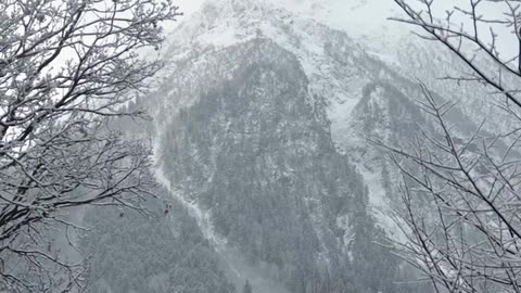 Daily Horoscope | Capricorn 🌟