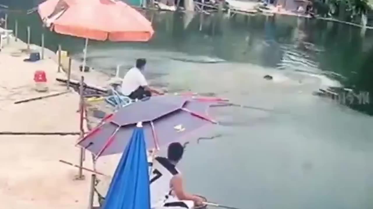 Fishing is never boring 🤣