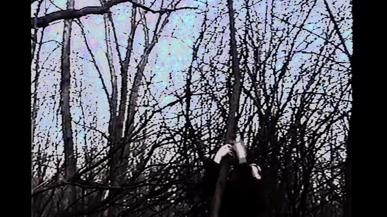 AftCowl Treefighter BOOTSTRAPPED Video