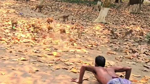 Funny Action Seen !!