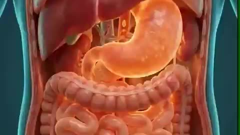 Drinking warm water in the morning isn’t a trend — it’s a reset.