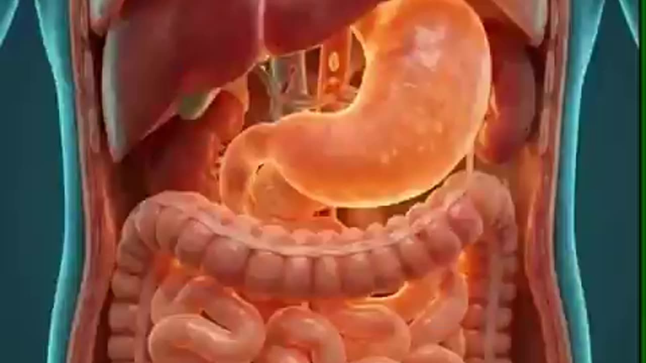 Drinking warm water in the morning isn’t a trend — it’s a reset.