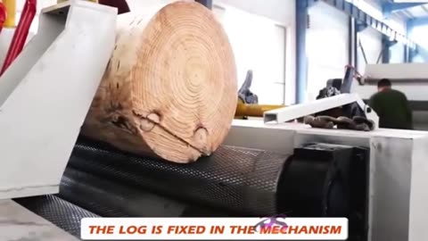 Latest Advanced Technology - Giant Plywood Machinery's Wood Board Making Machine