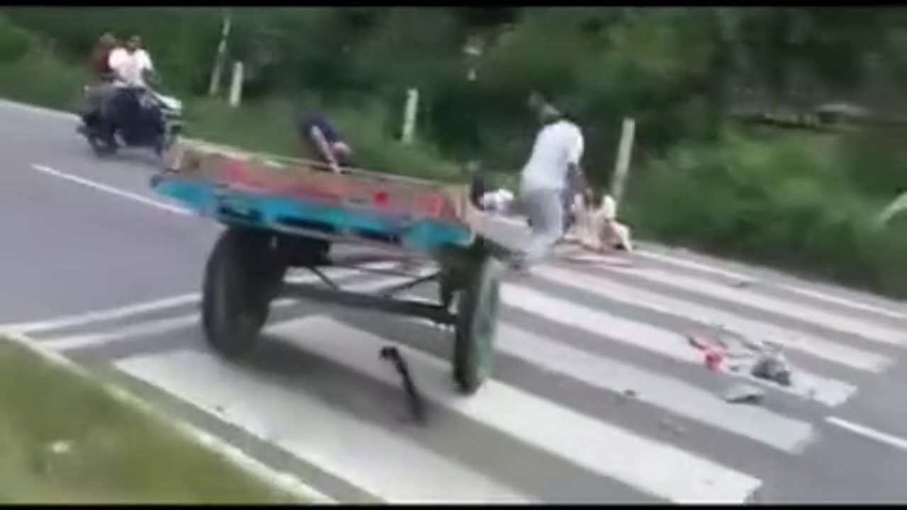 “Unusual Road Scene Turns Into Tragedy | Donkey Cart Crash”