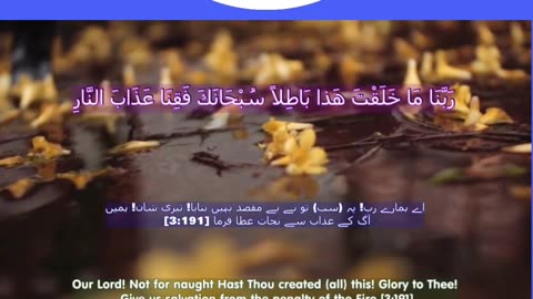 40 Rabbana Duas (Dua no 13)